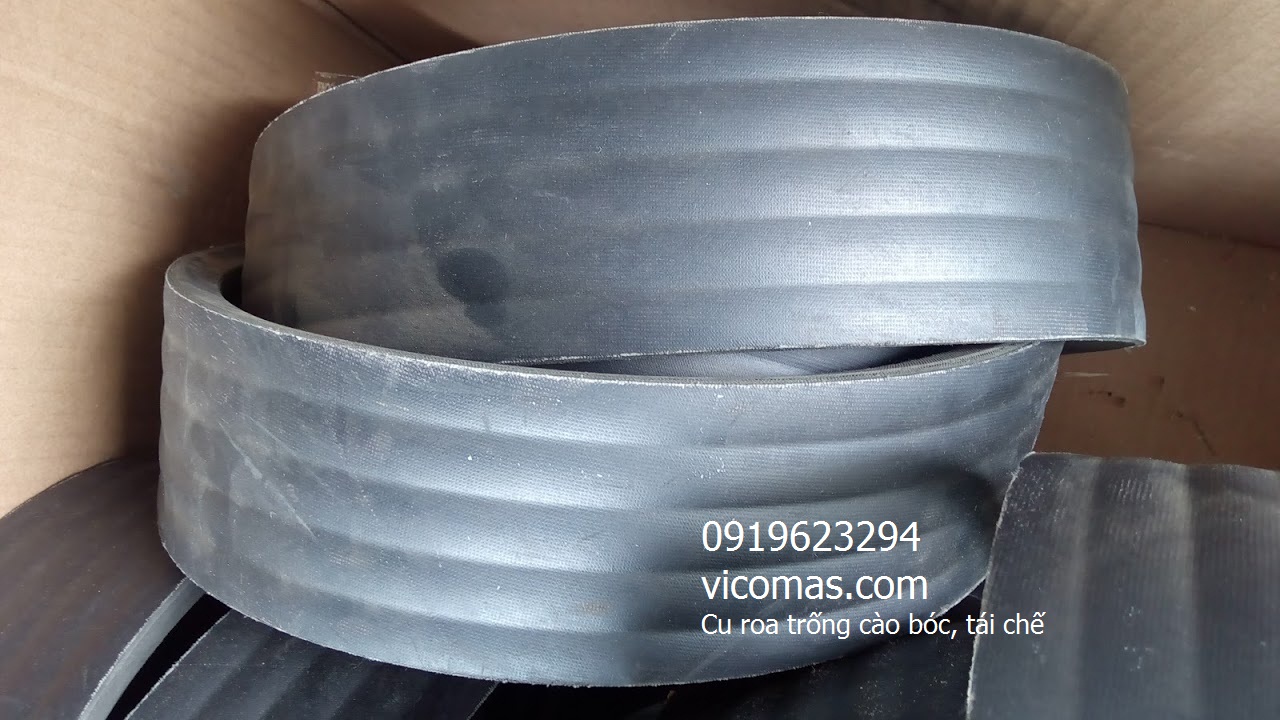 CU ROA TRỐNG CÀO BÓC, TÁI CHẾ / BELT